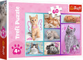 Trefl legpuzzel - schattige katten - 60 stukjes - kleurrijk karton.