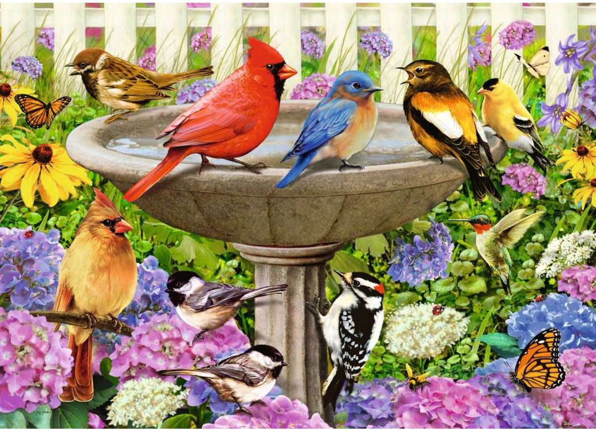 Ravensburger Vogelbad-Puzzle, 500 Teile.