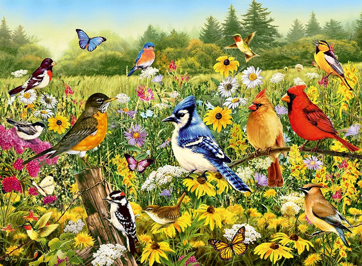 Ravensburger puzzel vogels - legpuzzel 500 stukjes dieren landschap.