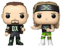 Funko pop! wwe - new age outlaws: 'road dogg' jesse james billy gunn 2 pack