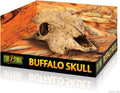 Exo terra buffalo skull