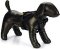 Beeztees parinca y-tuig hondentuig nylon zwart 45-57 cm x 20 mm