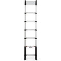 Ladder telesteps 72230-581 3000 mm zilver