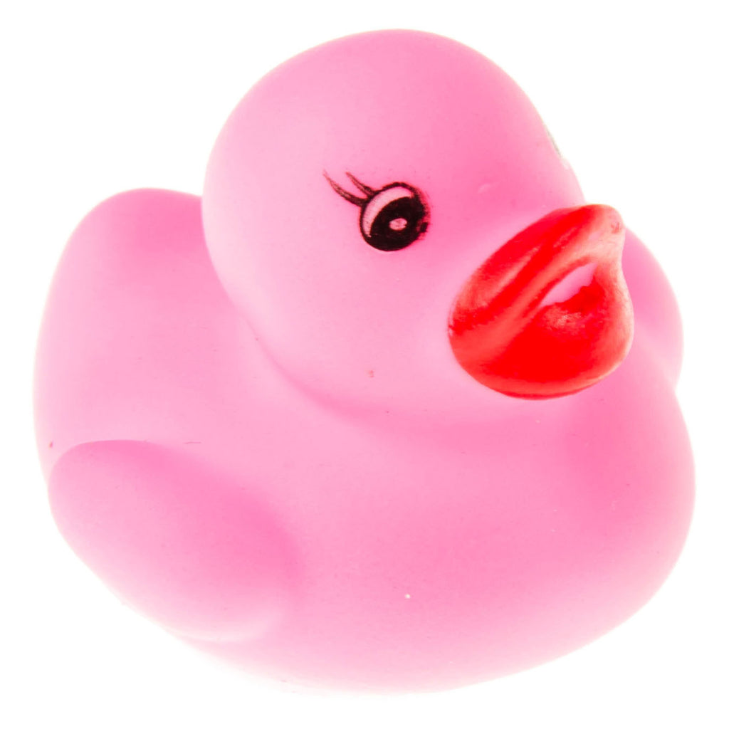 Duckiez badeendjes kleur, 24st.