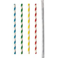 Rietjes papstar papier 20 cm zwart wit