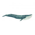 Schleich Wild Life Blauwal 14806