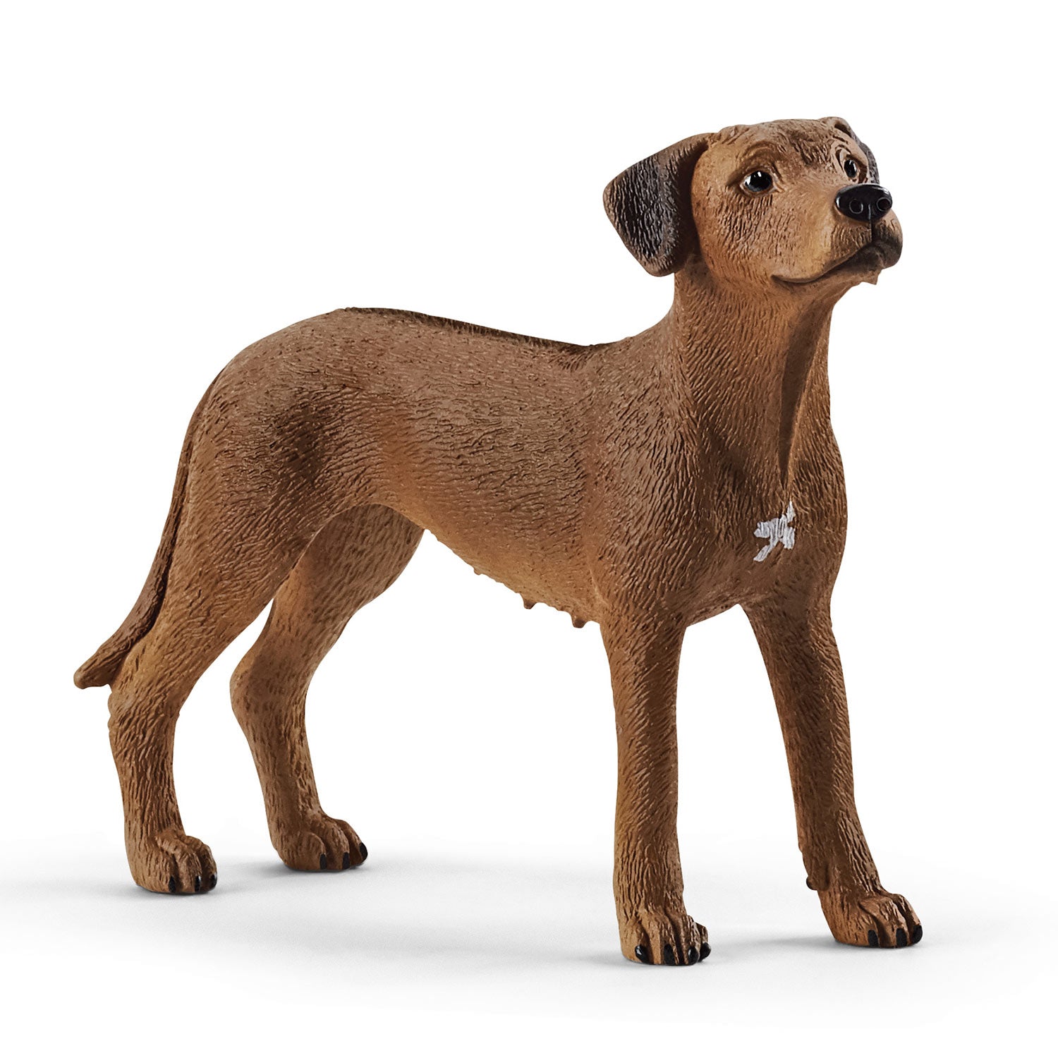 Schleich hond rhodesian ridgeback 13895