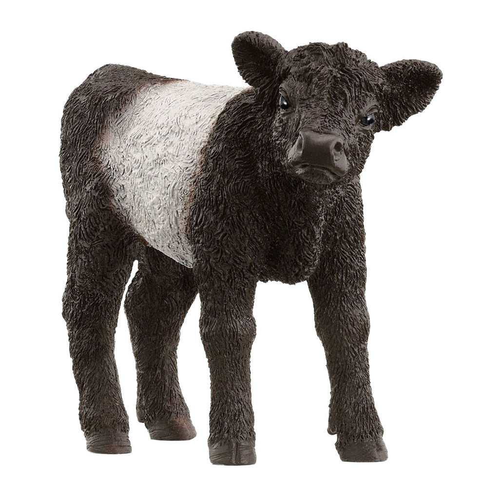 Schleich Farm World Galloway-Kalb 13969