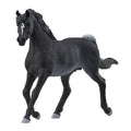 Schleiich Horse Club Arabian Engst 13981
