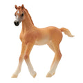 Schleiich Horse Club Araberfohlen 13984