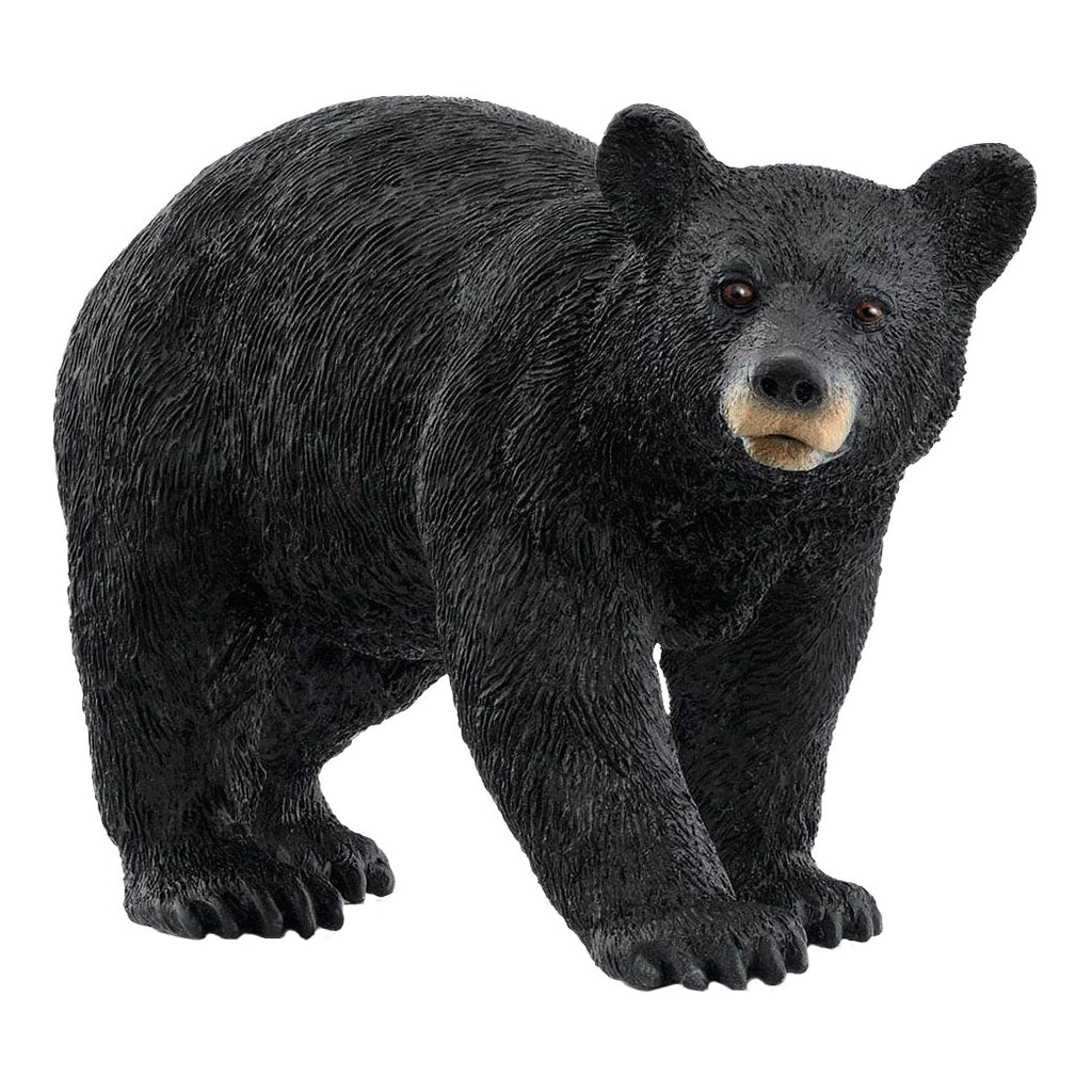 Schleich Wild Life Amerikanischer Schwarzbär 14869