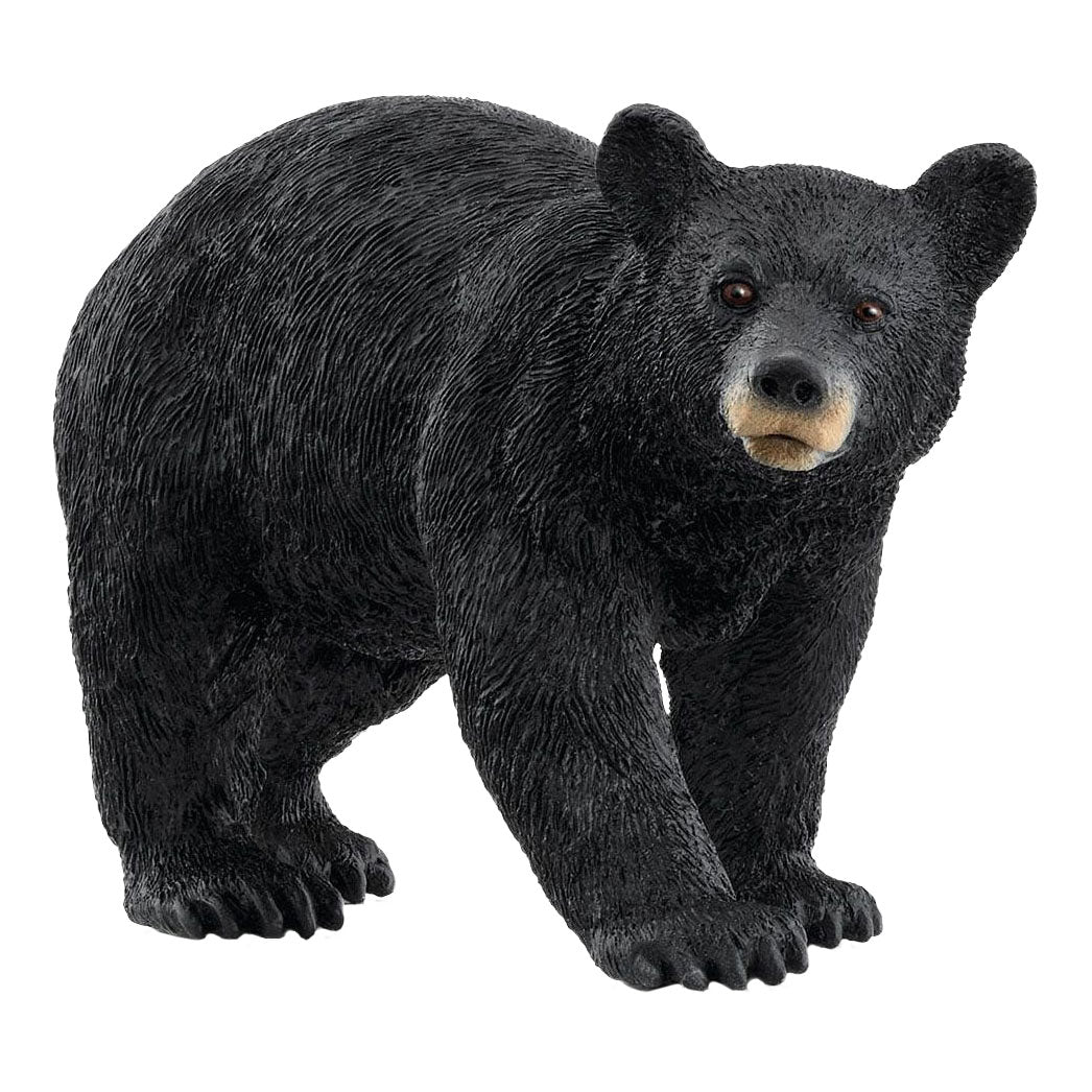 Schleich Wild Life Amerikanischer Schwarzbär 14869