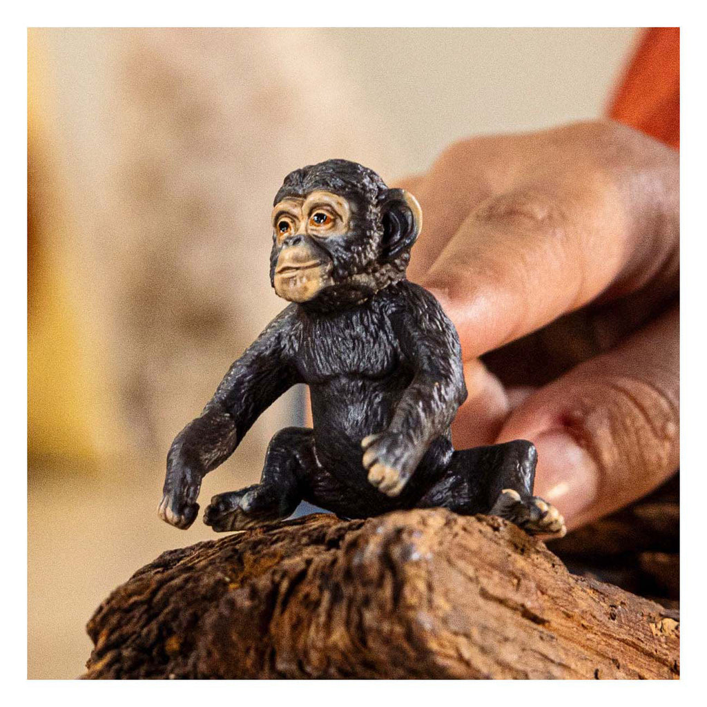 Imp schleich 14884 chanzee cub | 5 stuks