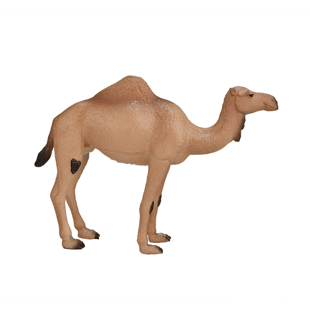 Mojo wildlife arabische kameel - 387113