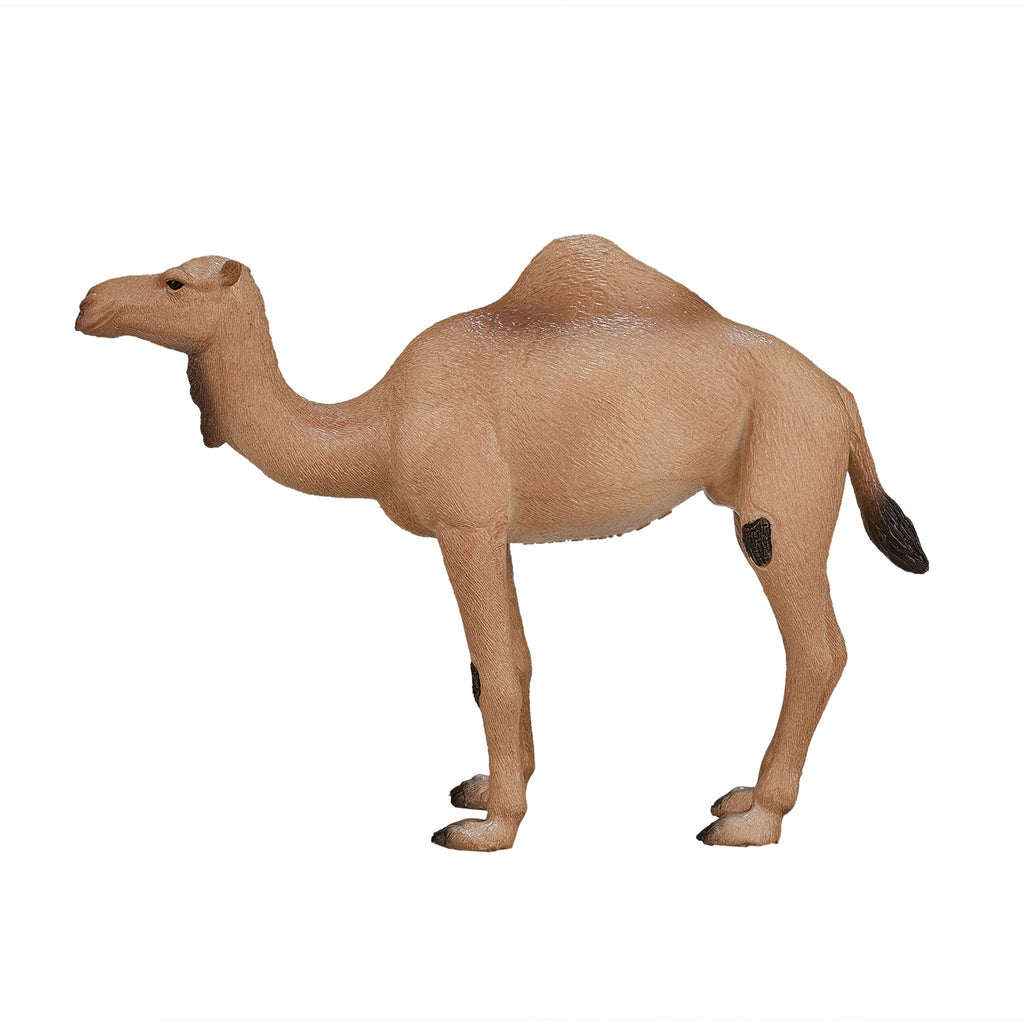 Mojo wildlife arabische kameel - 387113