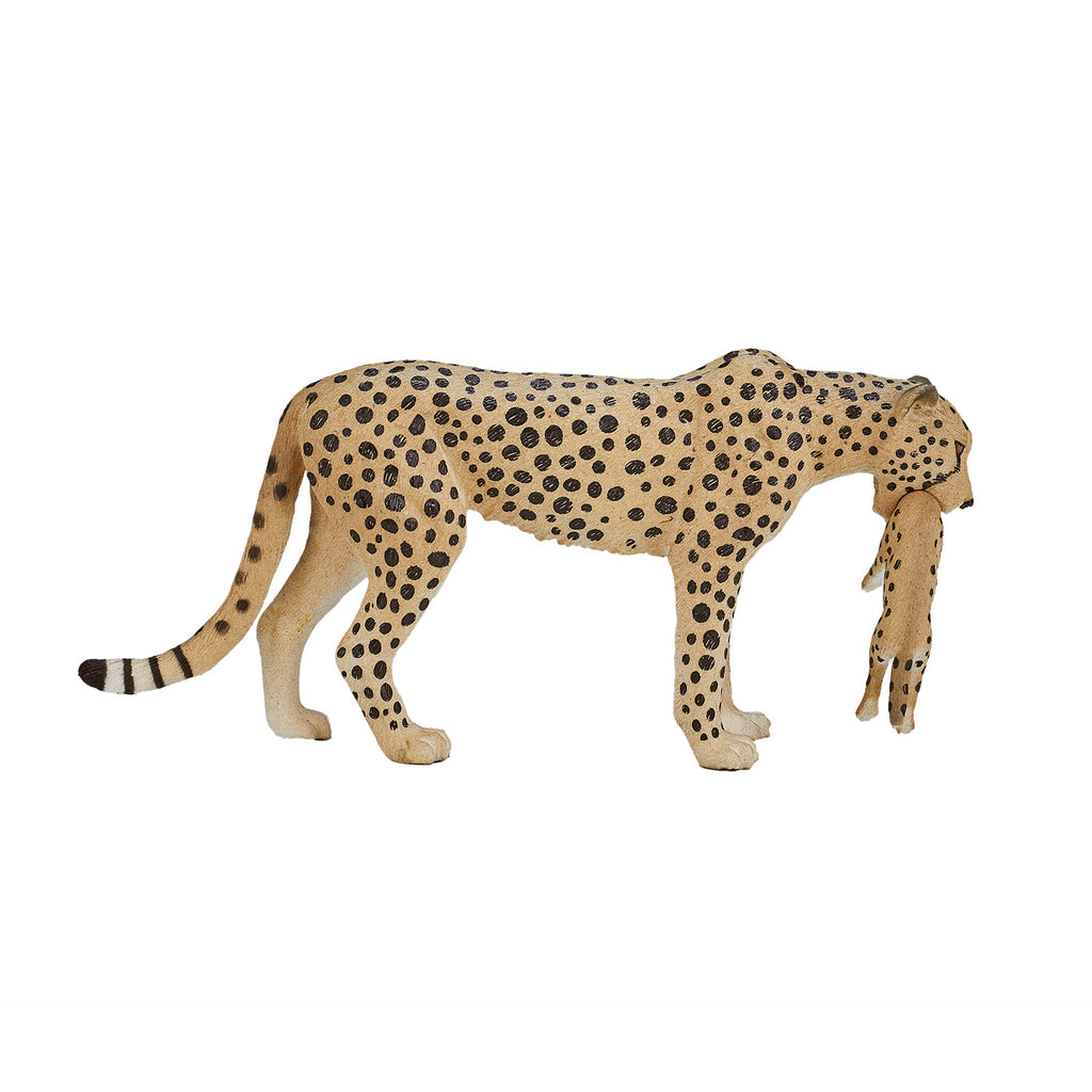 Mojo Wildlife Gepardenweibchen mit Jungem 387167