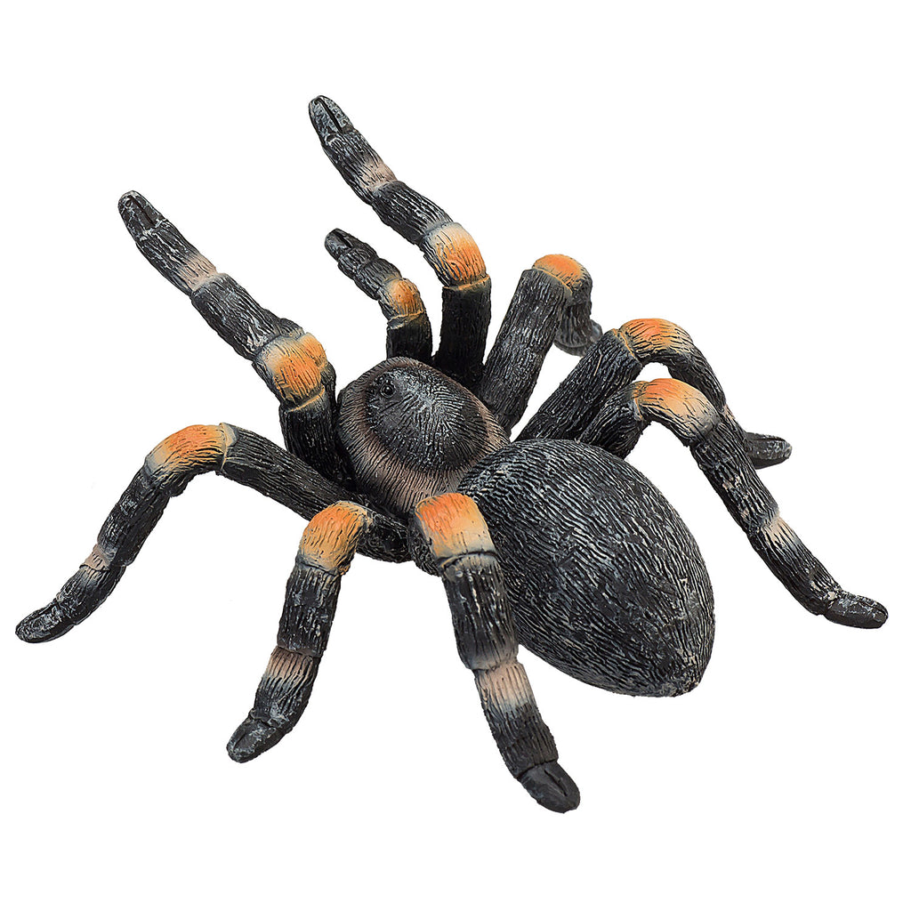 Mojo Wildlife Rote Vogelspinne - 387213