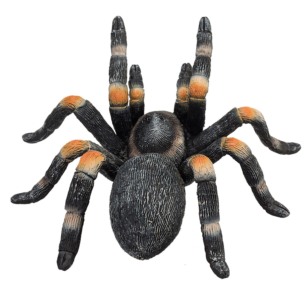 Mojo Wildlife Rote Vogelspinne - 387213