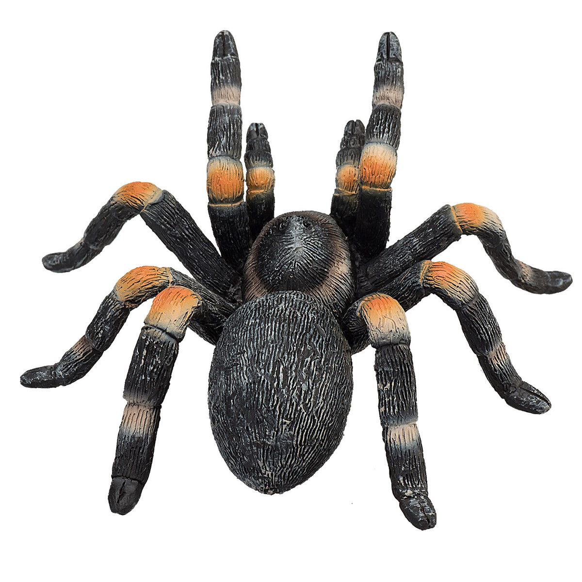 Mojo Wildlife Rote Vogelspinne - 387213