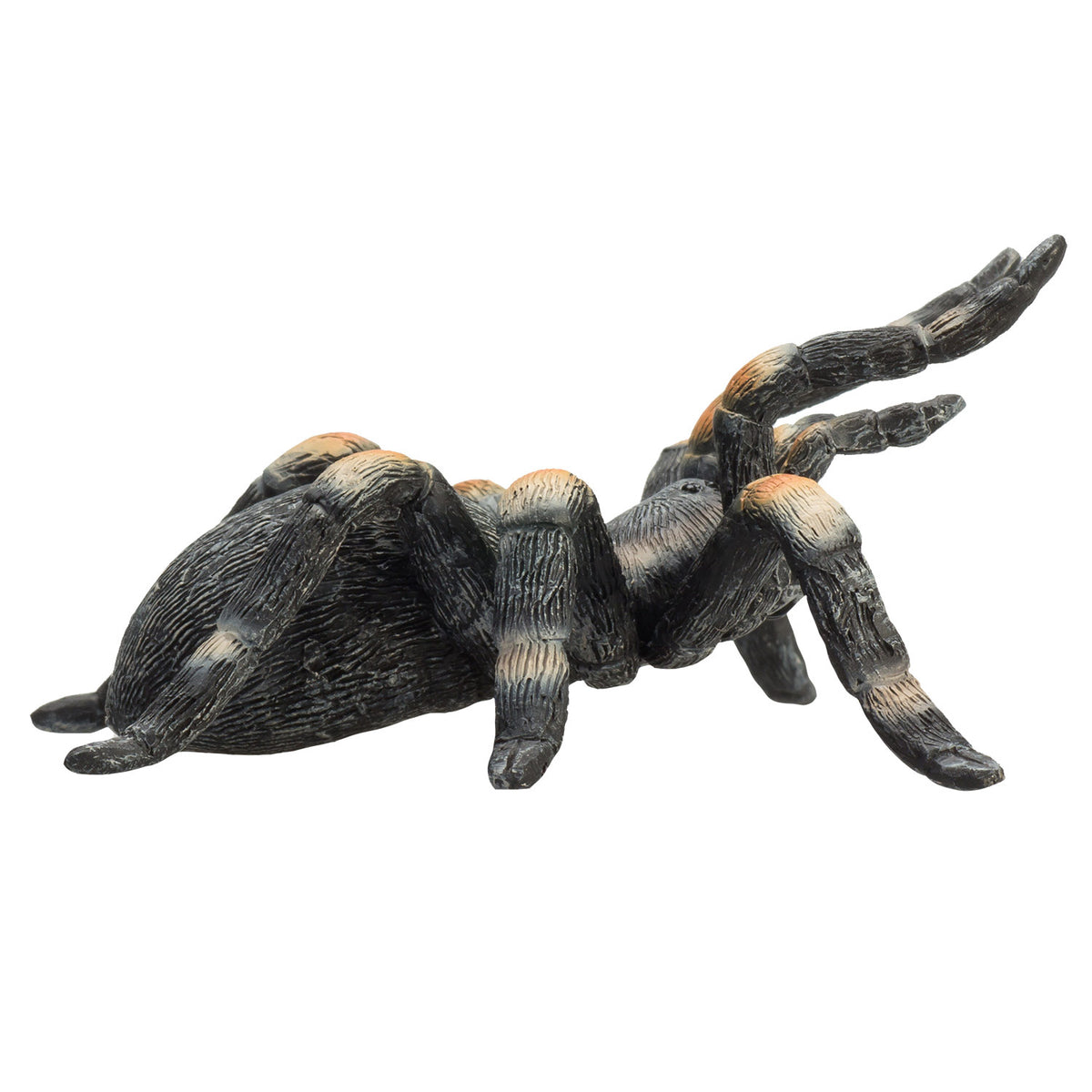 Mojo Wildlife Rote Vogelspinne - 387213