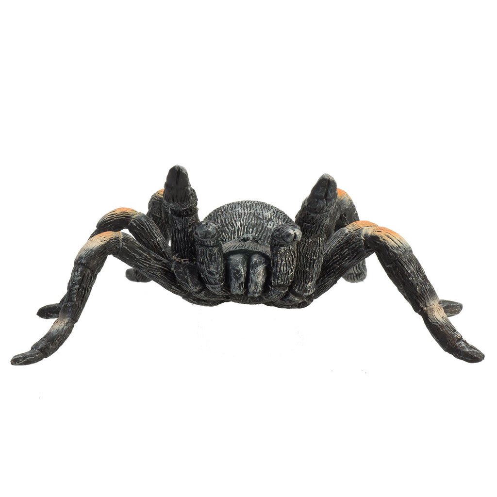 Mojo Wildlife Rote Vogelspinne - 387213