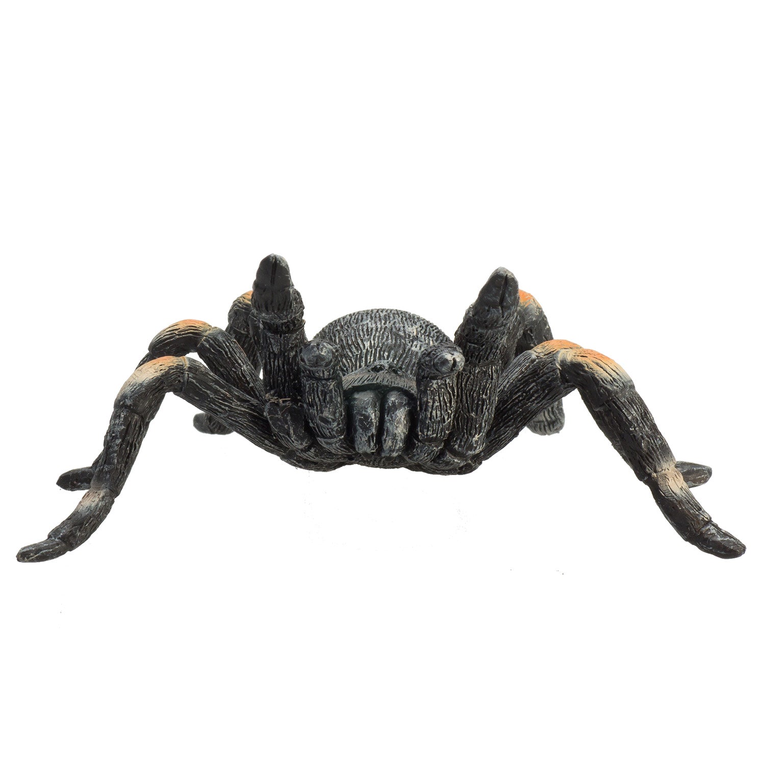 Mojo Wildlife Rote Vogelspinne - 387213