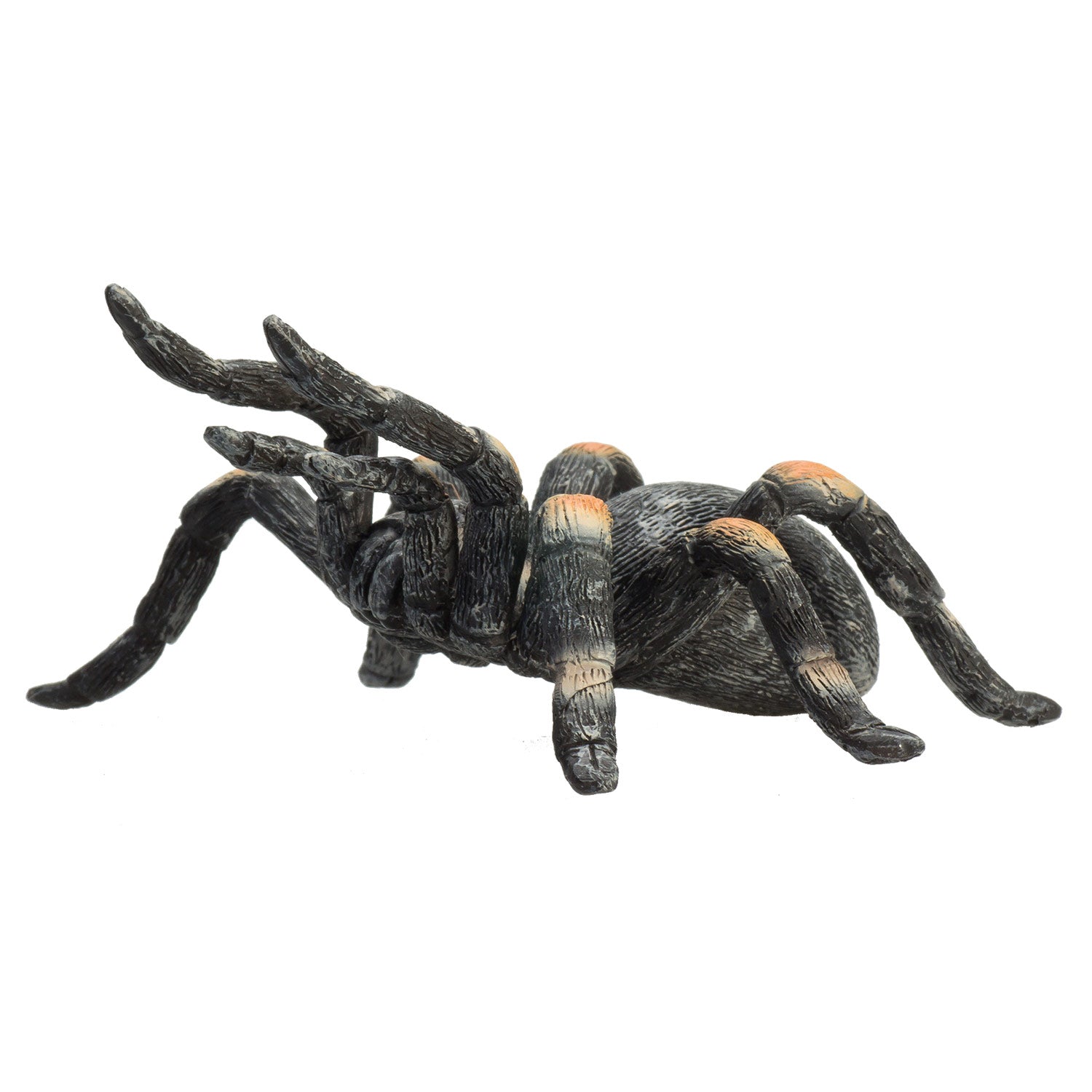 Mojo Wildlife Rote Vogelspinne - 387213
