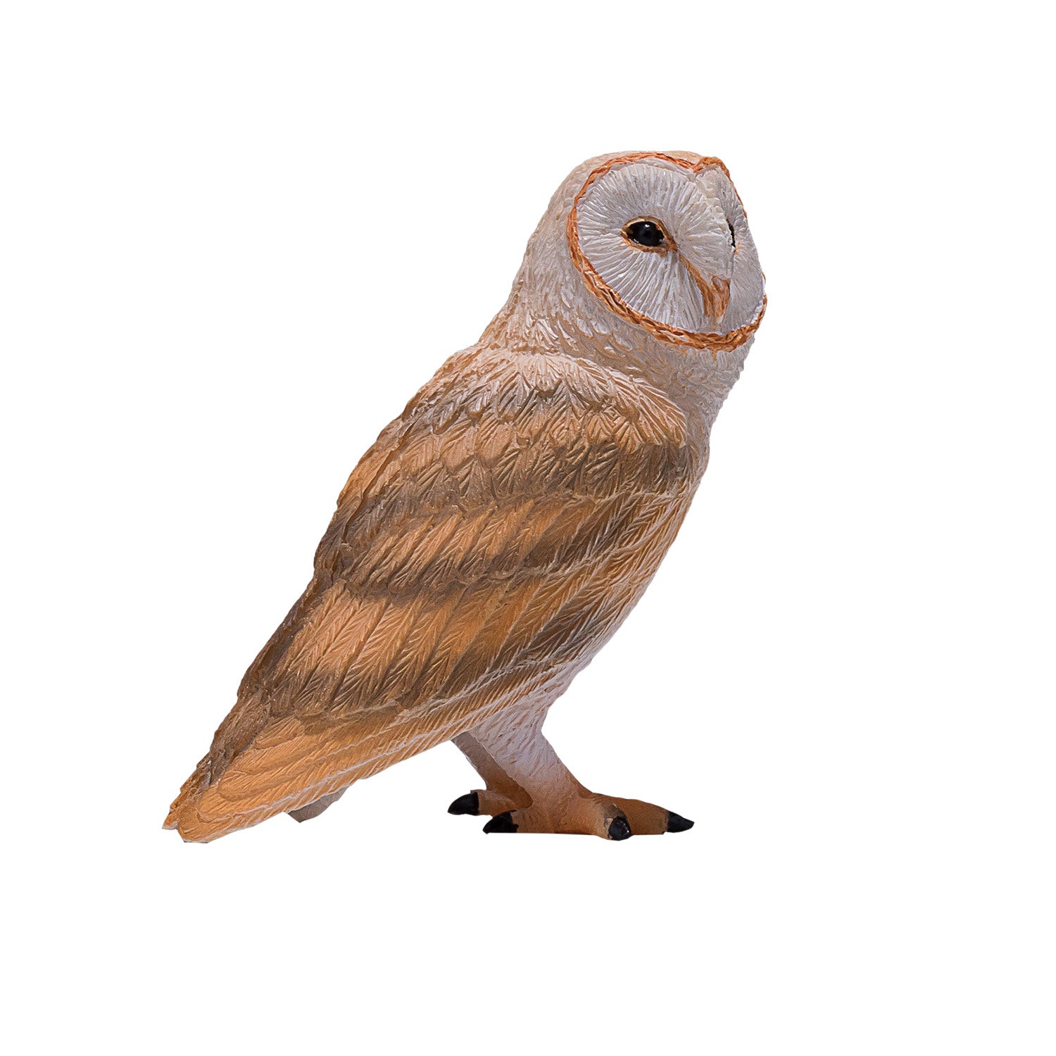 Mojo wildlife kerkuil - 381054