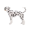 Mojo farmland dalmatiër - 387248