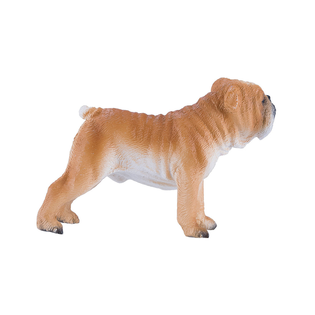 Mojo farmland engelse bulldog - 381053
