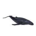 Mojo Sealife Buckelwal - 387119