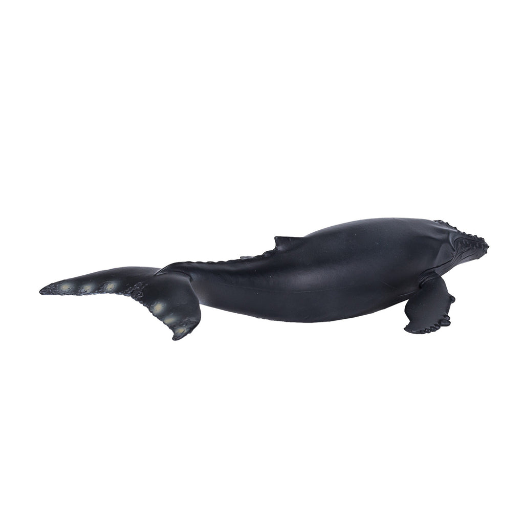 Mojo Sealife Buckelwal - 387119