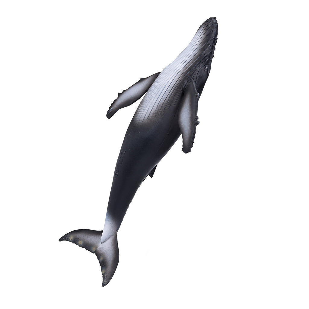 Mojo Sealife Buckelwal - 387119