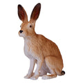 Mojo wildlife haas - 381072