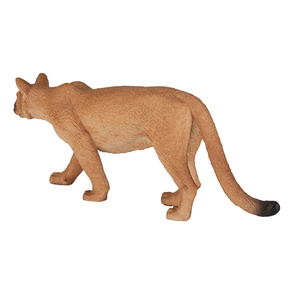 Mojo wildlife poema - 387143