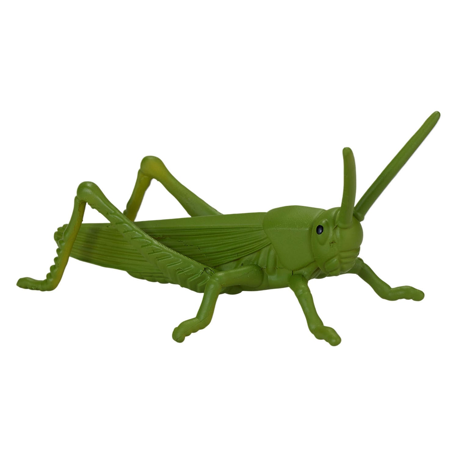 Mojo Wildlife Mini-Insekten und -Spinnen, 12-teilig - 380058