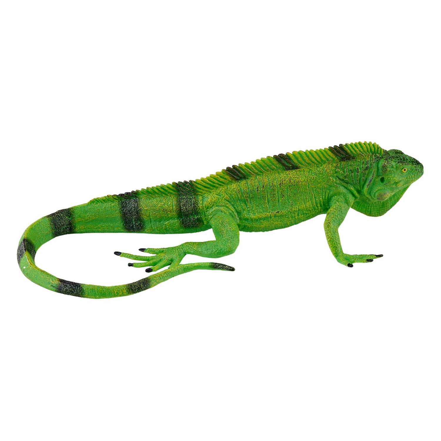Mojo Wildlife Leguan - 381095