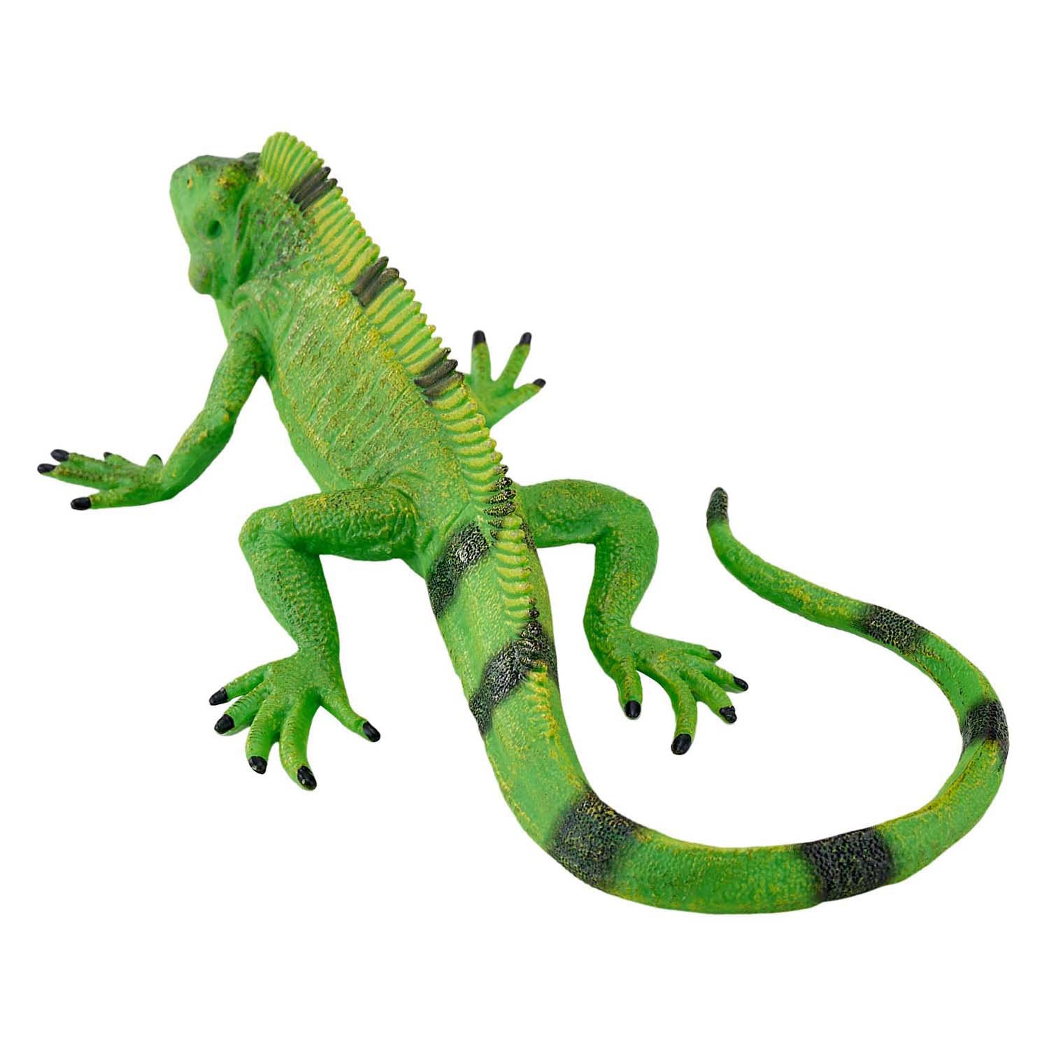 Mojo Wildlife Leguan - 381095