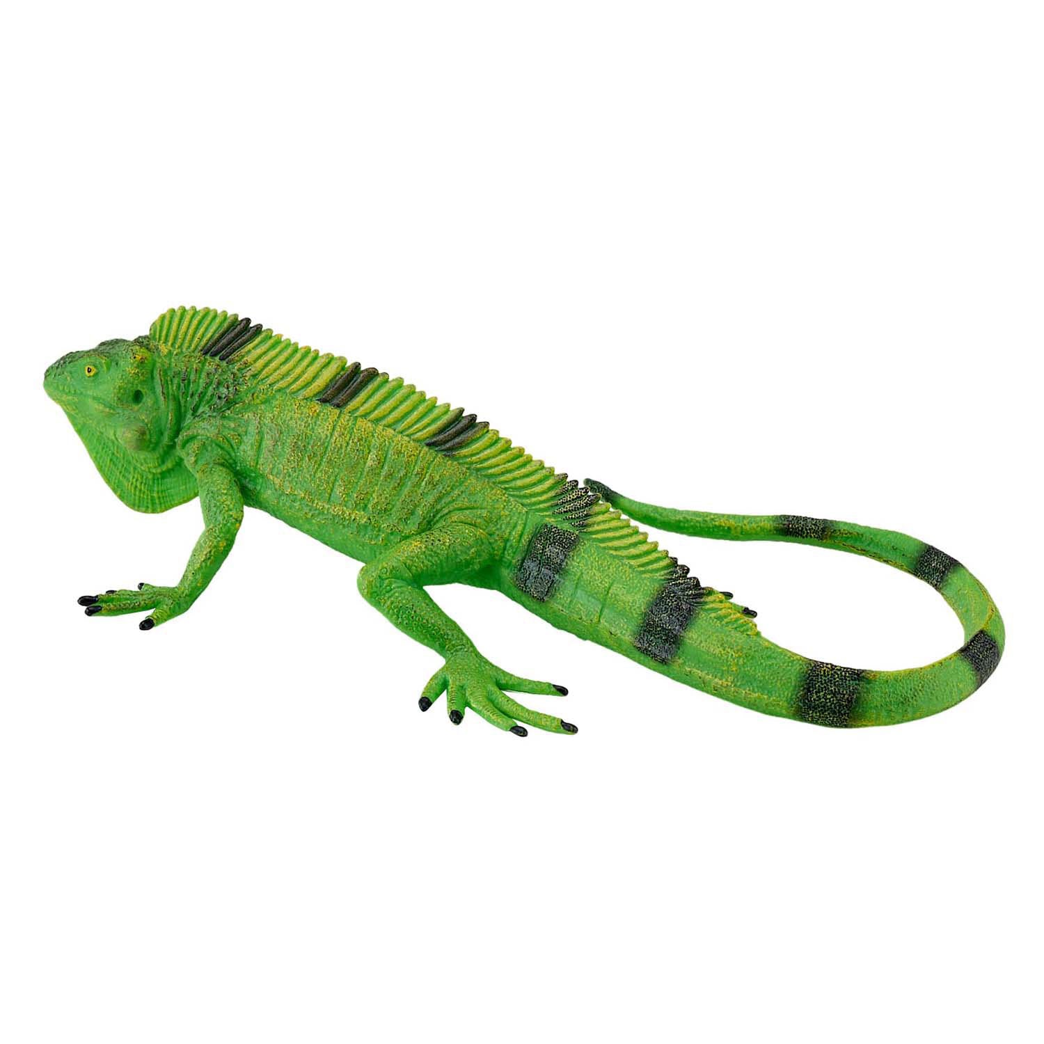 Mojo Wildlife Leguan - 381095
