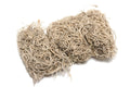 Hbx natural living mos tillandsia 80gr naturel
