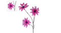 Kunstbloem dahlia lila pe 86cm