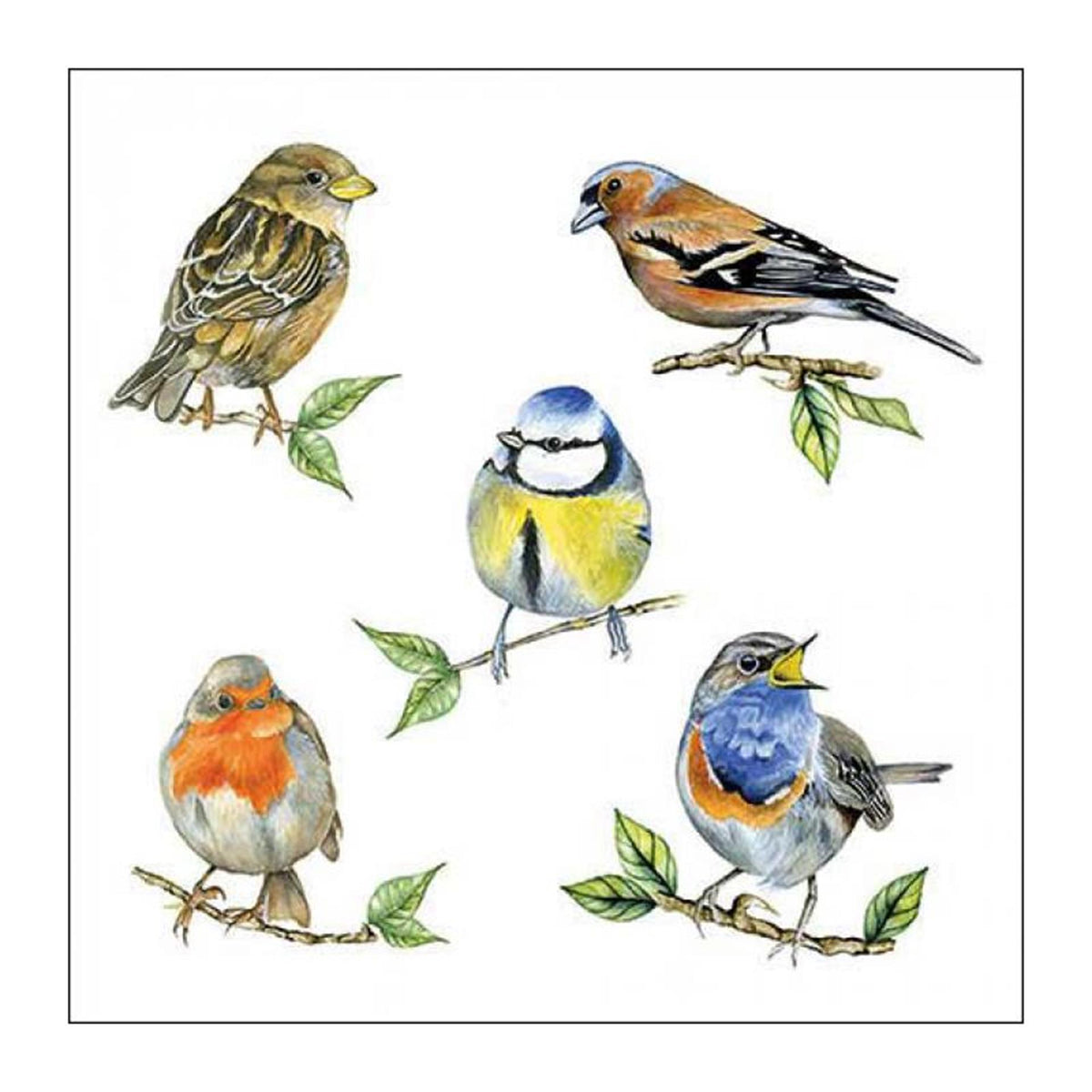 Ambiente servet 25 bird species white fsc mix