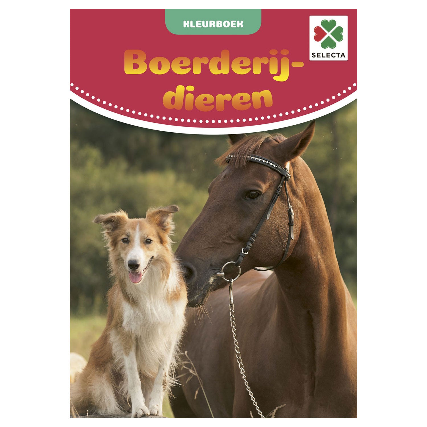 Selecta Bauernhoftiere Malbuch