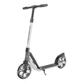 HUDORA Big Wheel Scooter Step 215 Advanced - Asche