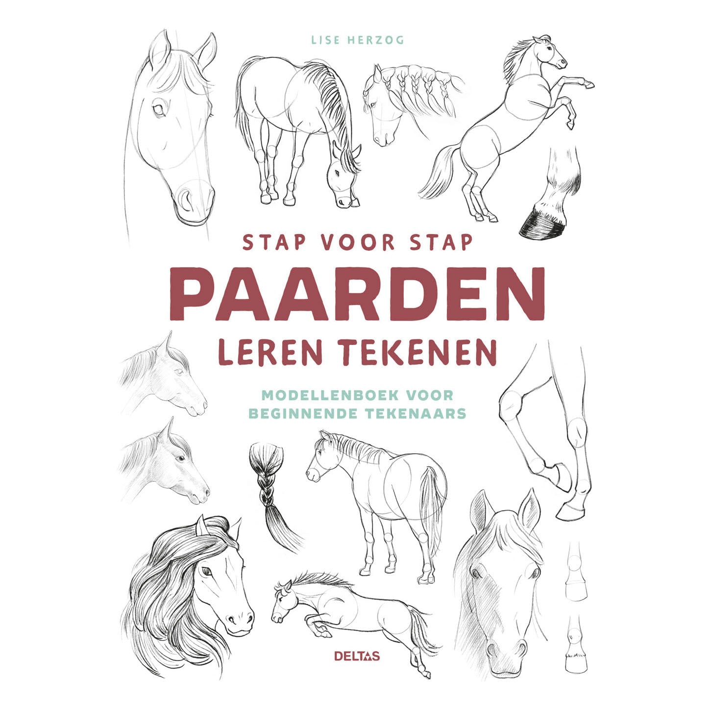 Deltas stap voor stap paarden leren tekenen