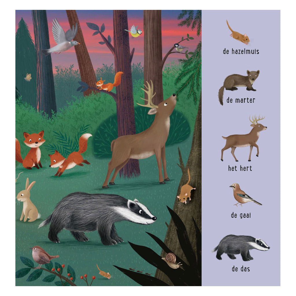 Delta-Suchbuch – Tiere aus aller Welt