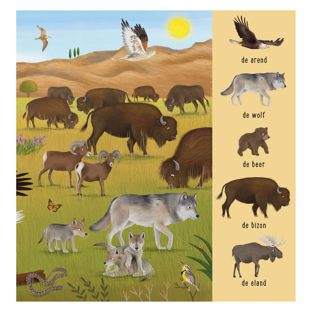 Delta-Suchbuch – Tiere aus aller Welt