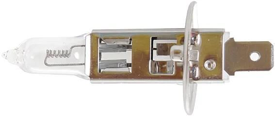Corexx hauptlampe car lamp h1 55w socket p14,5,s