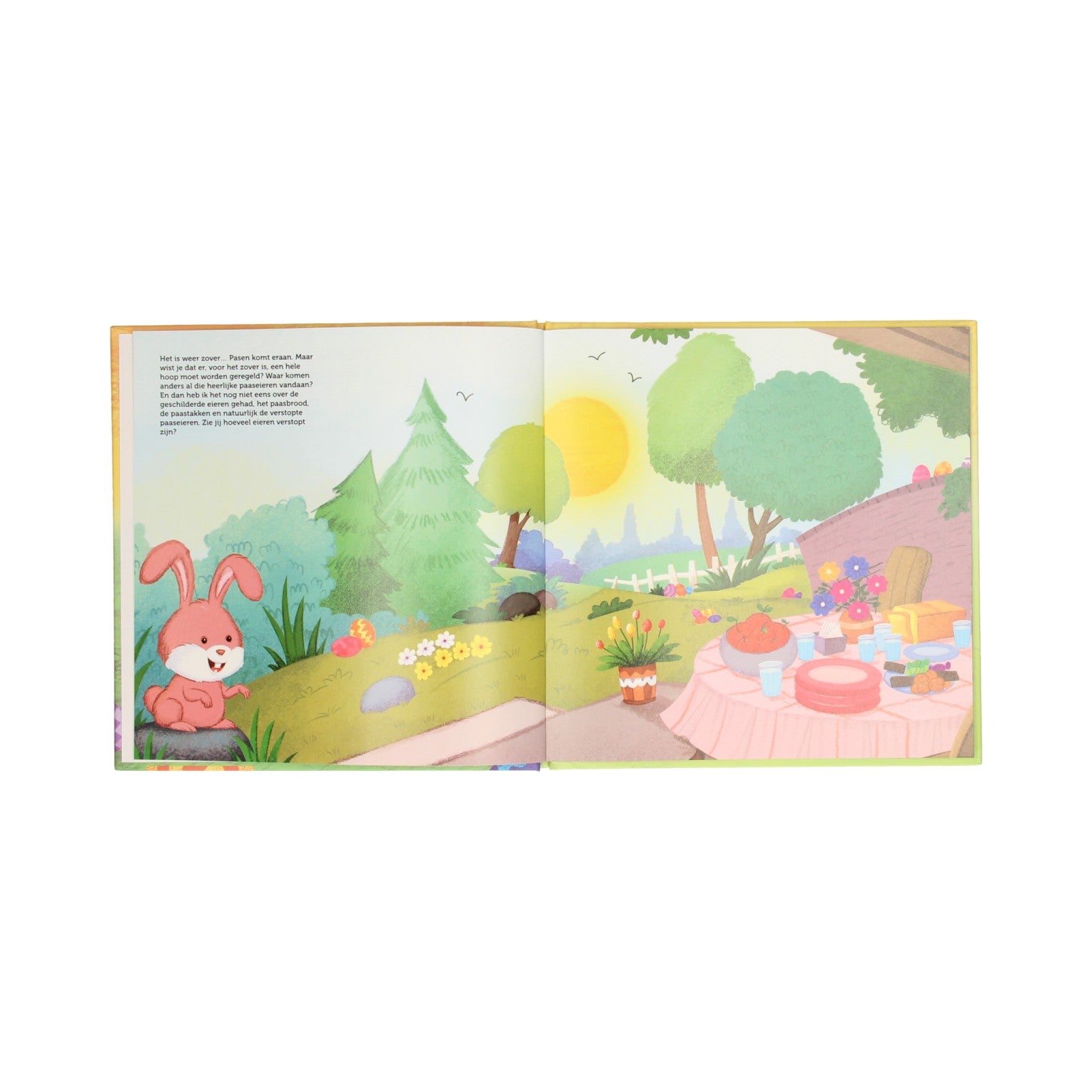 Wins Holland Storybook das Küken und der Osterhase