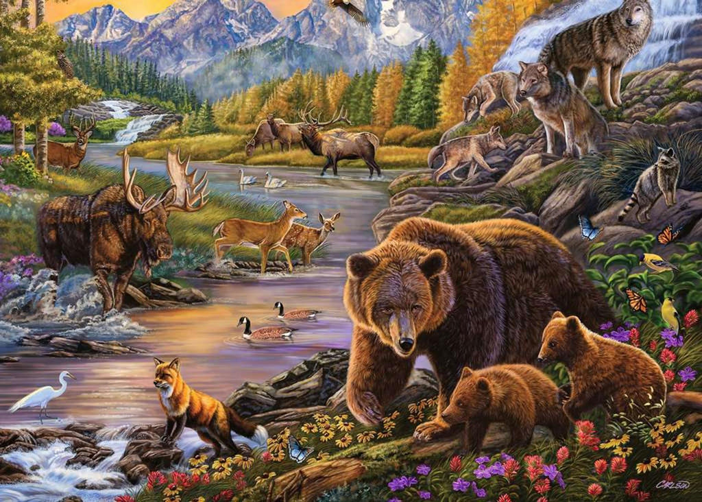 Ravensburger Wildernis, 500.